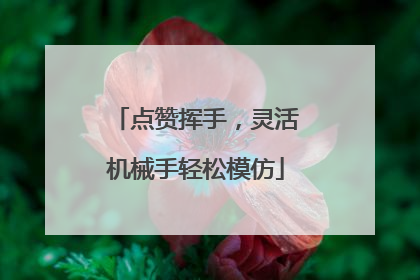点赞挥手，灵活机械手轻松模仿