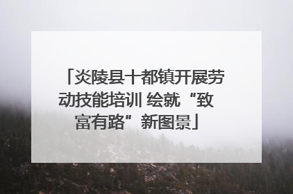 炎陵县十都镇开展劳动技能培训 绘就“致富有路”新图景