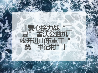 爱心接力战“三夏” 雷沃公益机收开进山东重工“第一书记村”