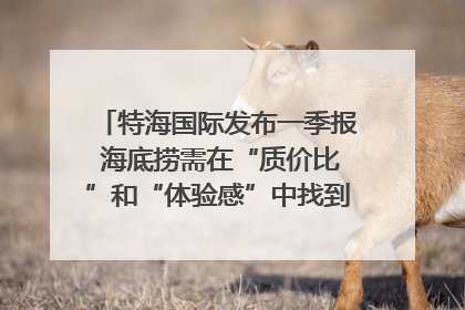 特海国际发布一季报 海底捞需在“质价比”和“体验感”中找到平衡｜新经济观察