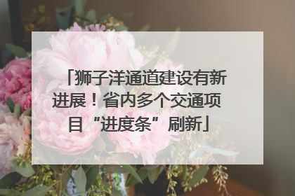 狮子洋通道建设有新进展！省内多个交通项目“进度条”刷新