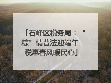 石峰区税务局：“粽”情普法迎端午 税惠春风暖民心
