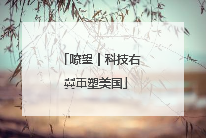 瞭望｜科技右翼重塑美国