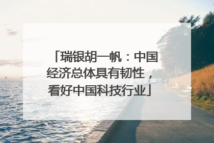 瑞银胡一帆：中国经济总体具有韧性，看好中国科技行业