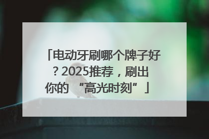 电动牙刷哪个牌子好？2025推荐，刷出你的 “高光时刻”