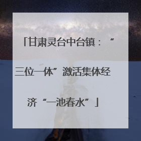 甘肃灵台中台镇：“三位一体”激活集体经济“一池春水”