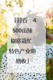 甘谷：4500亩辣椒移栽忙 特色产业助增收
