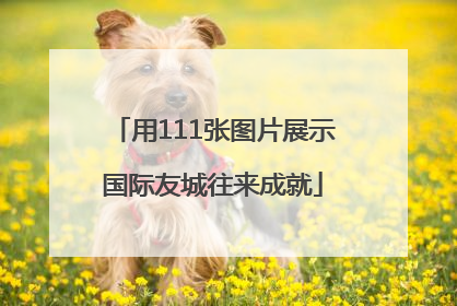 用111张图片展示国际友城往来成就