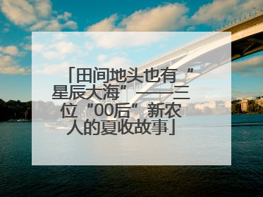 田间地头也有“星辰大海”——三位“00后”新农人的夏收故事