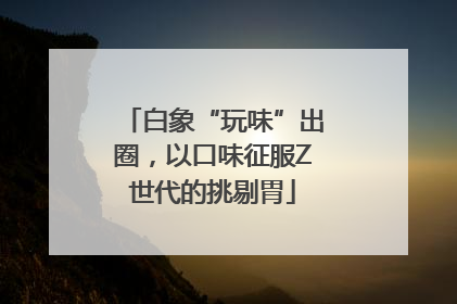 白象“玩味”出圈，以口味征服Z世代的挑剔胃