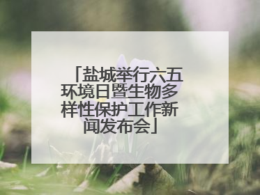 盐城举行六五环境日暨生物多样性保护工作新闻发布会