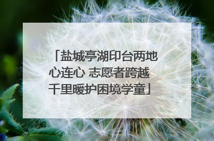 盐城亭湖印台两地心连心 志愿者跨越千里暖护困境学童