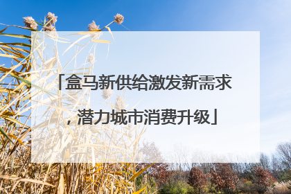 盒马新供给激发新需求，潜力城市消费升级