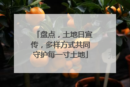 盘点，土地日宣传，多样方式共同守护每一寸土地