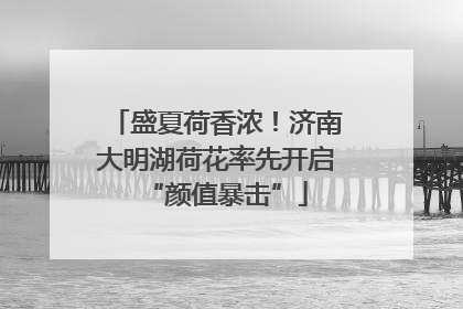 盛夏荷香浓！济南大明湖荷花率先开启“颜值暴击”