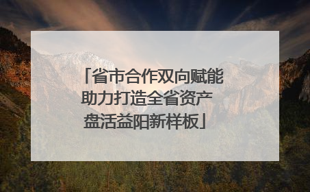 省市合作双向赋能 助力打造全省资产盘活益阳新样板