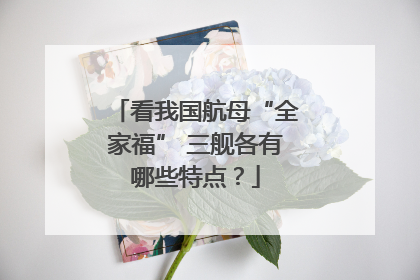 看我国航母“全家福” 三舰各有哪些特点？