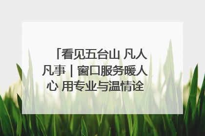 看见五台山 凡人凡事｜窗口服务暖人心 用专业与温情诠释责任担当