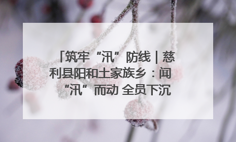 筑牢“汛”防线｜慈利县阳和土家族乡：闻“汛”而动 全员下沉筑牢防汛“安全堤”