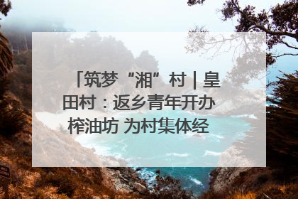 筑梦“湘”村｜皇田村：返乡青年开办榨油坊 为村集体经济“加油”