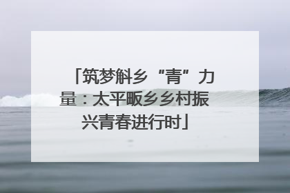 筑梦斛乡“青”力量：太平畈乡乡村振兴青春进行时