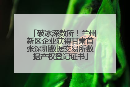破冰深数所！兰州新区企业获得甘肃首张深圳数据交易所数据产权登记证书