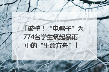 破壁！“电骡子”为774名学生筑起暴雨中的“生命方舟”