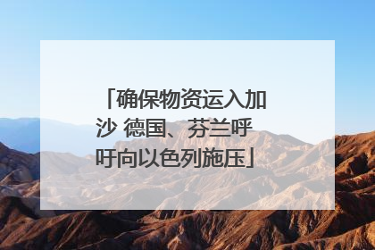 确保物资运入加沙 德国、芬兰呼吁向以色列施压