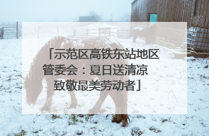 示范区高铁东站地区管委会：夏日送清凉 致敬最美劳动者
