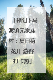 祁阳下马渡镇元家庙村：夏日荷花开 游客打卡热
