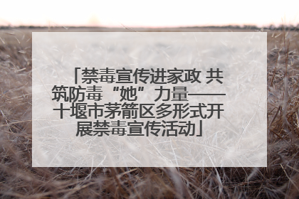 禁毒宣传进家政 共筑防毒“她”力量——十堰市茅箭区多形式开展禁毒宣传活动