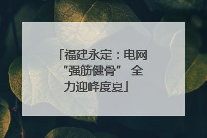 福建永定：电网“强筋健骨” 全力迎峰度夏