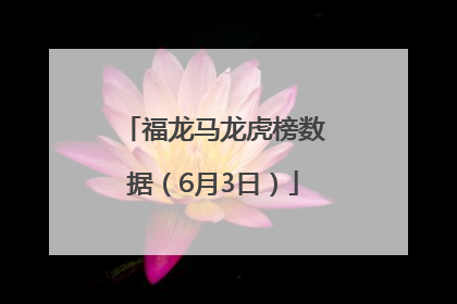 福龙马龙虎榜数据（6月3日）