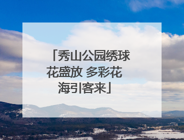 秀山公园绣球花盛放 多彩花海引客来