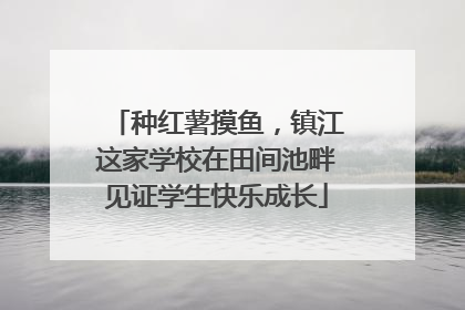 种红薯摸鱼，镇江这家学校在田间池畔见证学生快乐成长