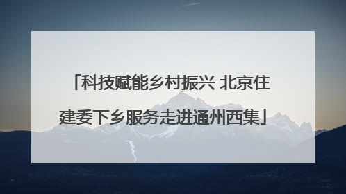 科技赋能乡村振兴 北京住建委下乡服务走进通州西集
