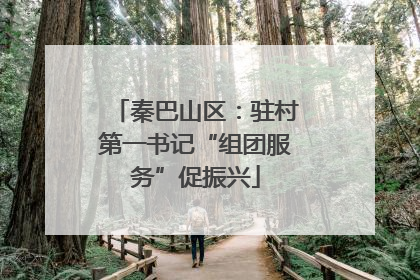 秦巴山区：驻村第一书记“组团服务”促振兴