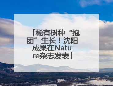 稀有树种“抱团”生长！沈阳成果在Nature杂志发表