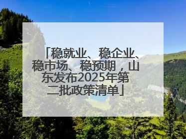 稳就业、稳企业、稳市场、稳预期，山东发布2025年第二批政策清单