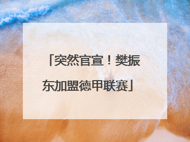 突然官宣！樊振东加盟德甲联赛