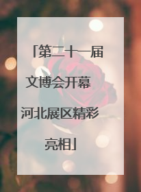 第二十一届文博会开幕 河北展区精彩亮相