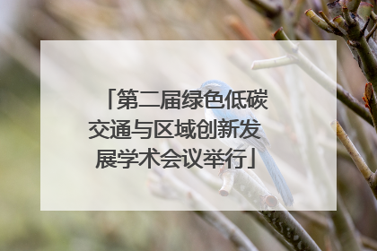 第二届绿色低碳交通与区域创新发展学术会议举行