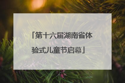 第十六届湖南省体验式儿童节启幕