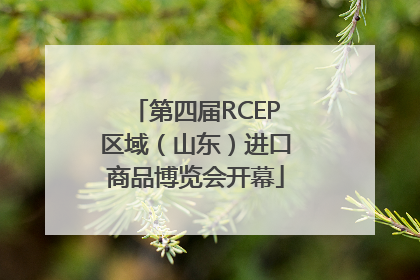 第四届RCEP区域（山东）进口商品博览会开幕