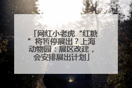 网红小老虎“红糖”将暂停展出？上海动物园：展区改建，会安排展出计划
