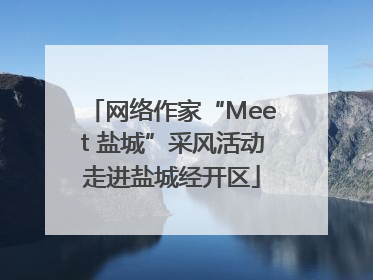 网络作家“Meet 盐城”采风活动走进盐城经开区