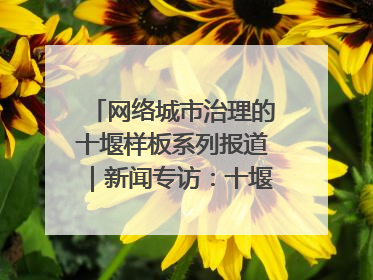 网络城市治理的十堰样板系列报道｜新闻专访：十堰为什么成为“黑马型”城市治理网络维度典型