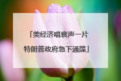 美经济唱衰声一片 特朗普政府急下通牒