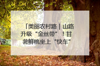美丽农村路｜山路升级“金丝带”！甘薯鲜桃坐上“快车”，开去大市场