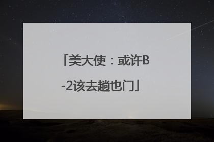 美大使：或许B-2该去趟也门